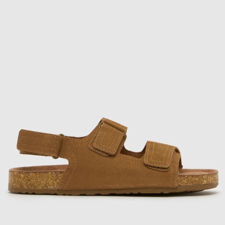 schuh turtle suede 1