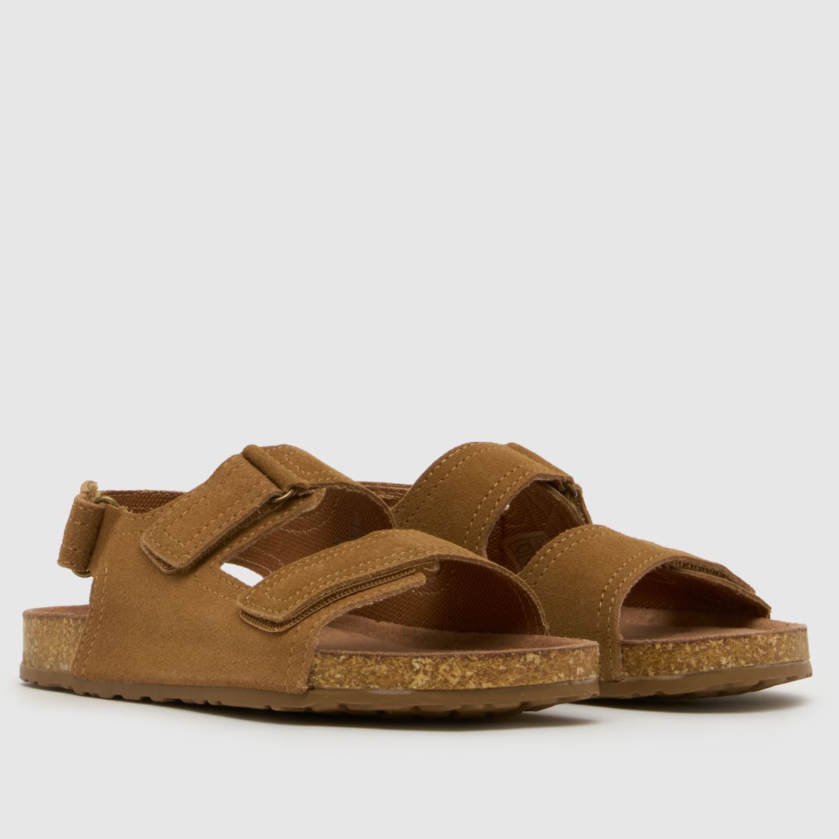 schuh Turtle Suede Boys Youth in Tan schuh Turtle Suede 1