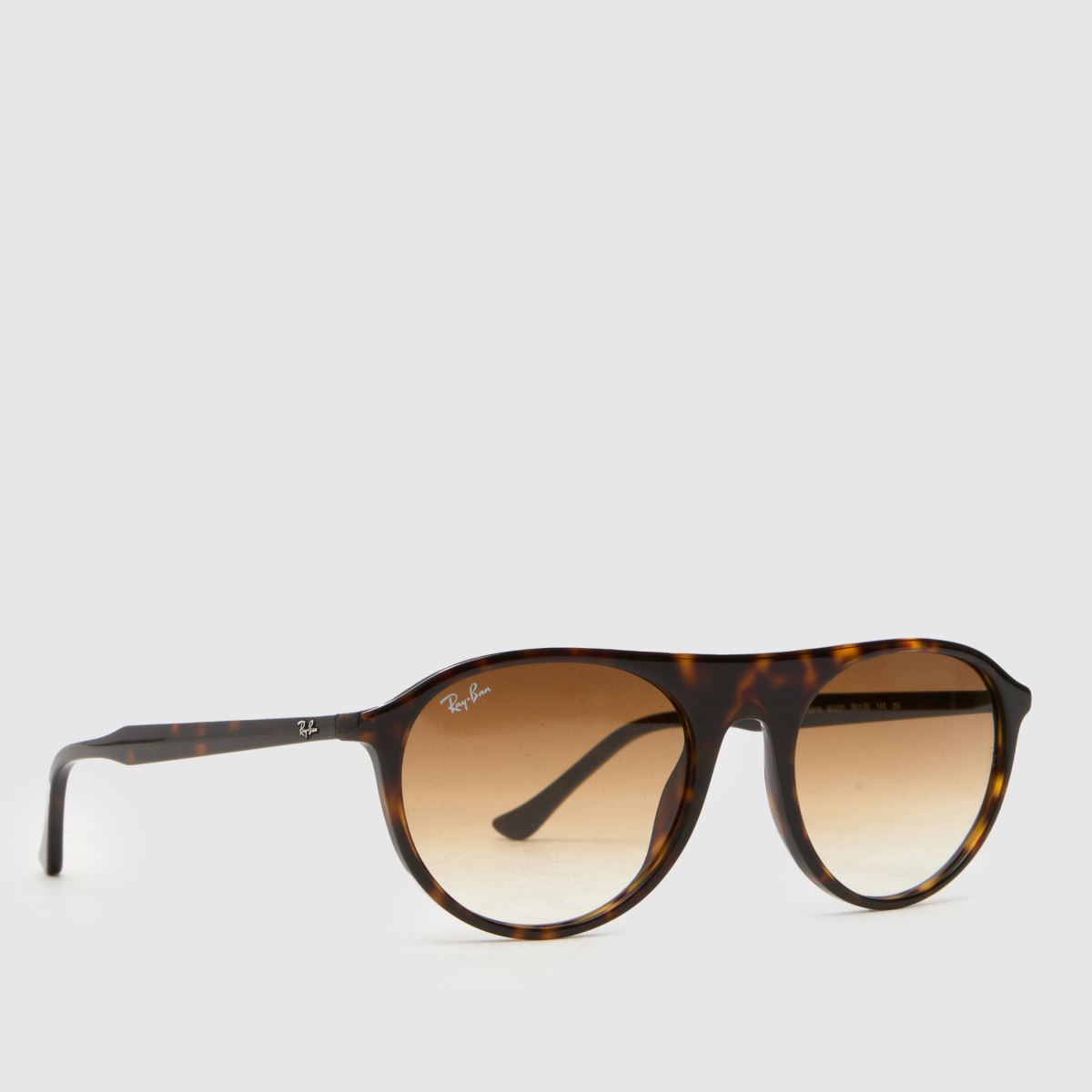 Ray-Ban Havana Aviator Sunglasses 
