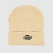 DICKIES Summerdale Beanie in Stone DICKIES Summerdale Beanie,1 of 4