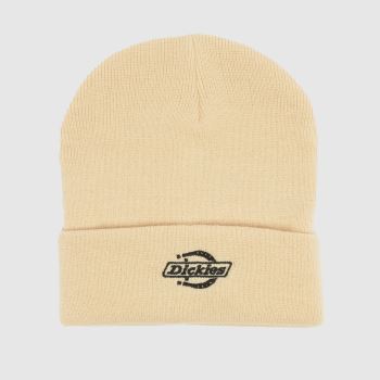 DICKIES Stone Summerdale Beanie Caps and Hats