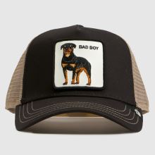 GOORIN BROS Bad Boy Trucker Cap in Black Multi GOORIN BROS Bad Boy Trucker Cap,1 of 4