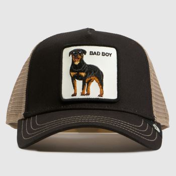 GOORIN BROS Black Multi Bad Boy Trucker Cap Caps and Hats