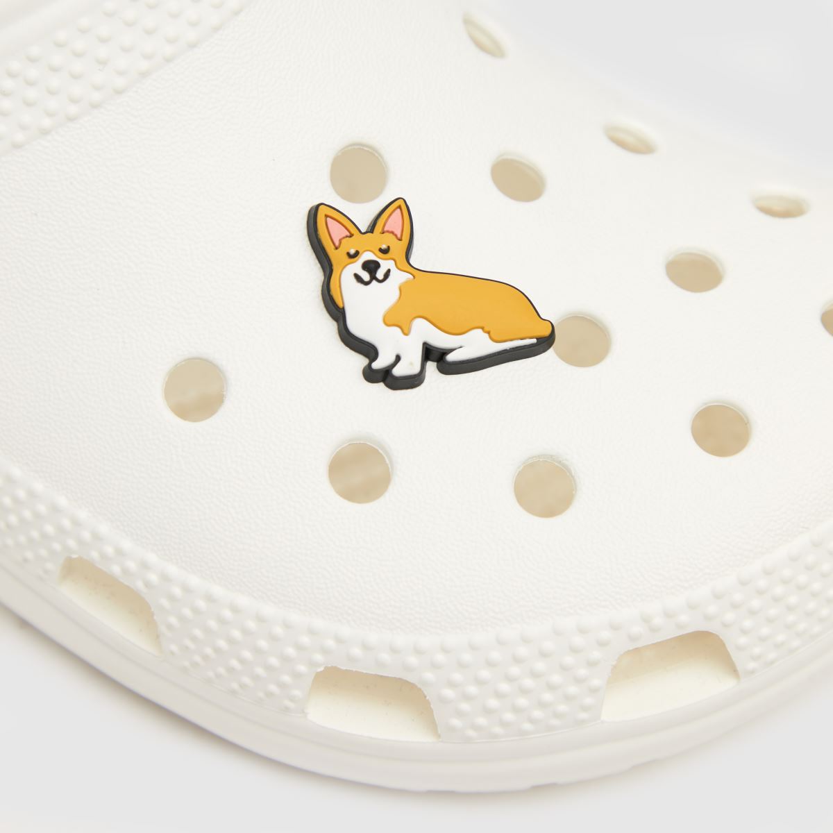 corgi crocs