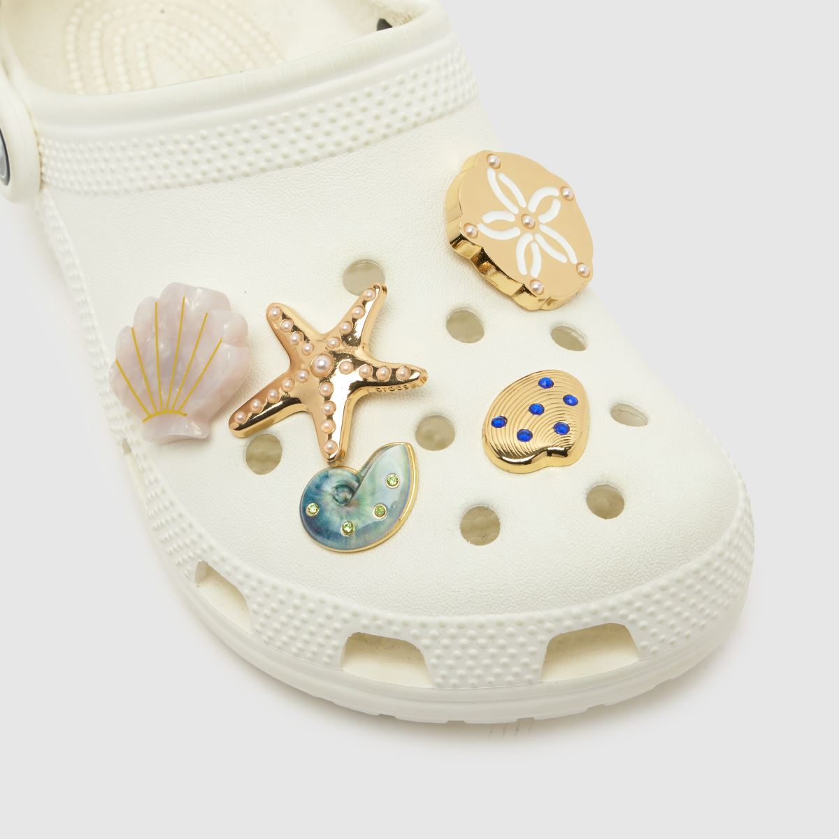 Crocs Jibbitz Seashell 5 Pack in Gold Crocs Jibbitz Seashell 5 Pack 7