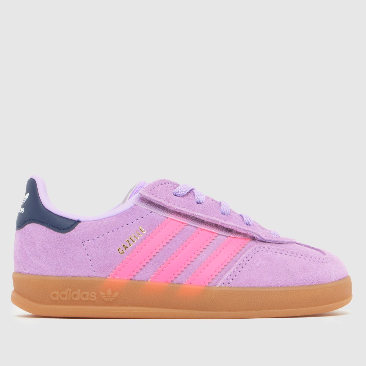 Gazelle Indoor Girls