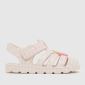 White & Pink
