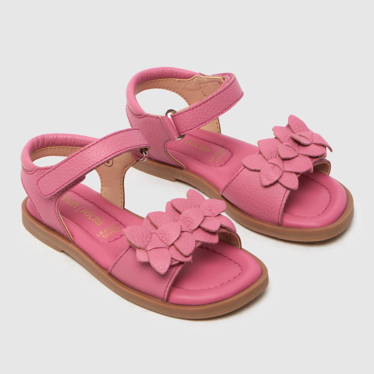 schuh Tamber Flower Girls Toddler in Pink schuh Tamber Flower 4