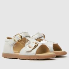 schuh Tawney,2 of 4