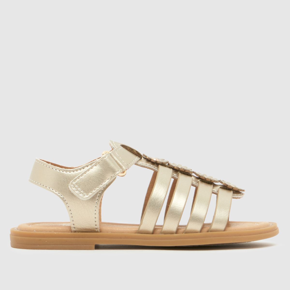 Thistle Flower Girls