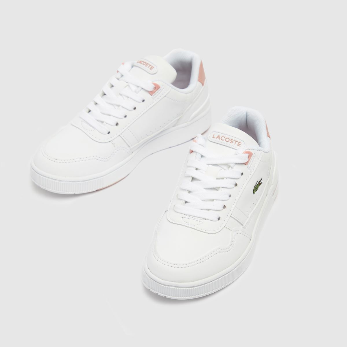 lacoste sneakers junior