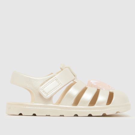 JUJU JELLIES pearly shell cherub 1
