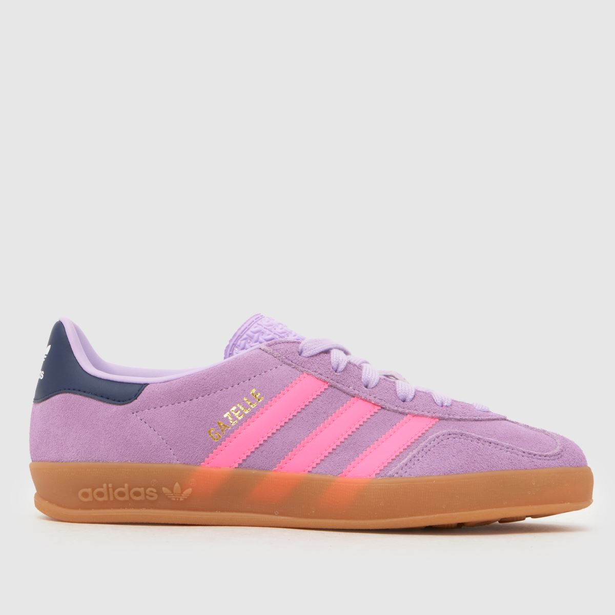 Gazelle Indoor Girls