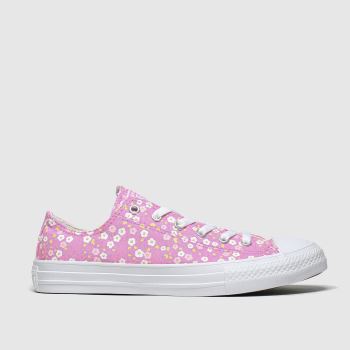 baby converse schuh