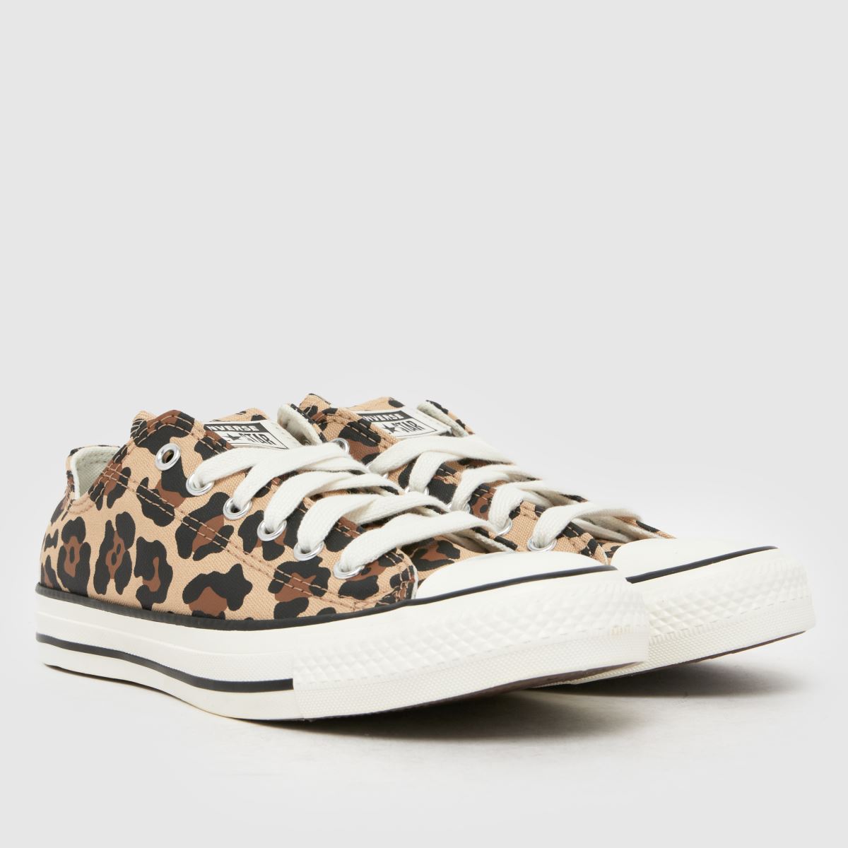 Converse All Star Lo Girls Youth in Brown Multi Converse All Star Lo 1