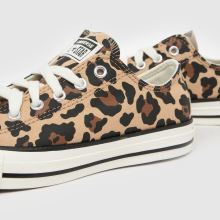 Converse All Star Lo,4 of 4