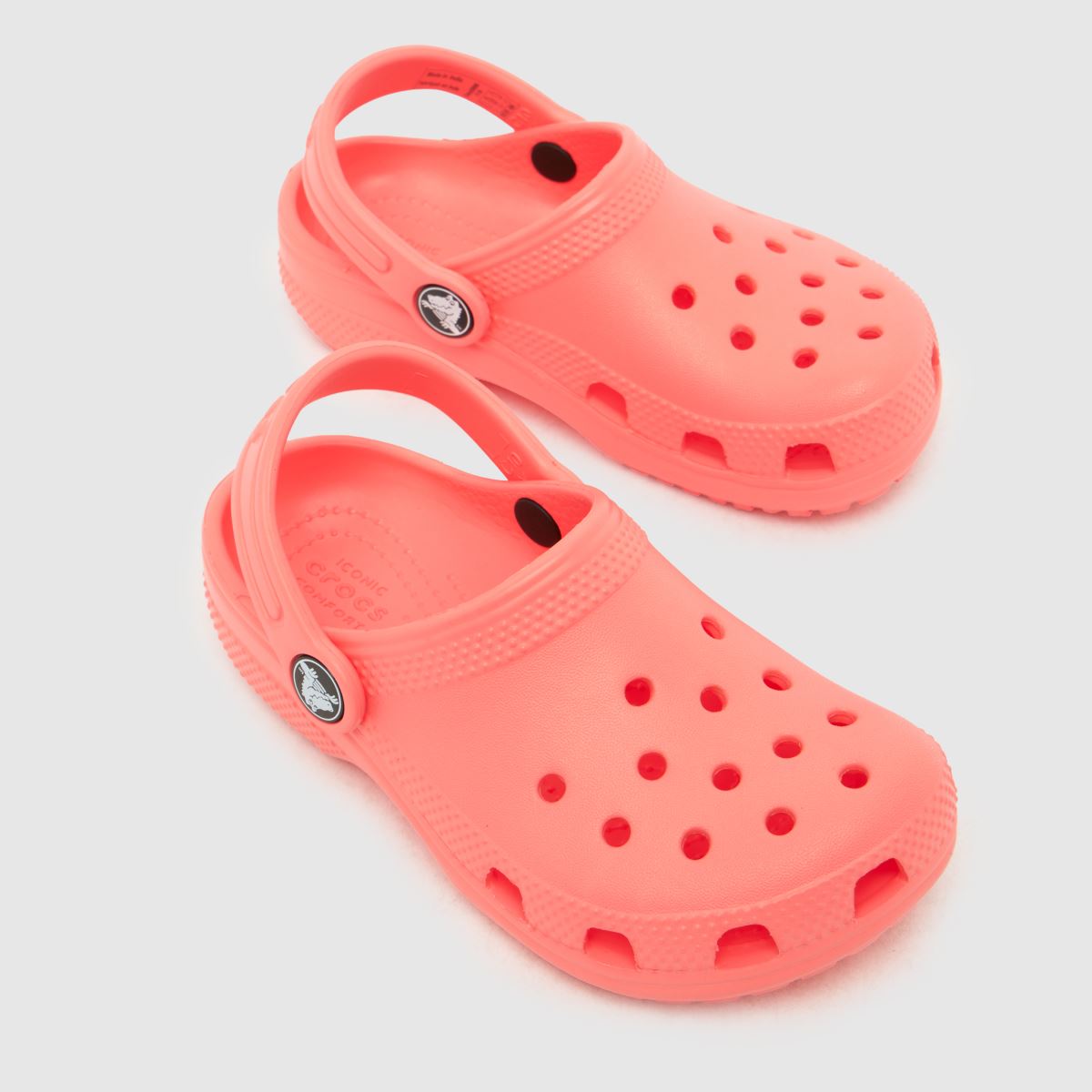 Crocs Classic Clog Girls Youth in Pink Crocs Classic Clog 7