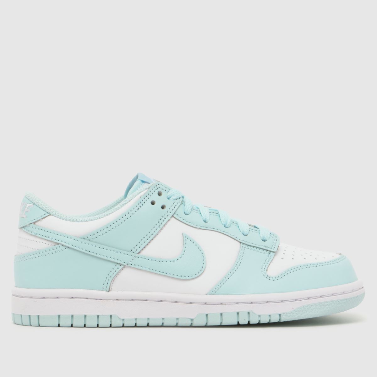 Nike Pale Blue Dunk Low Girls Youth Trainers